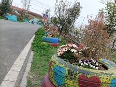 -三圣花乡旅游区