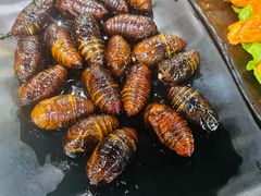 -丹东丛炟海鲜烧烤(江艺路店)