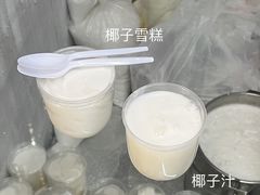 -洪馨椰子
