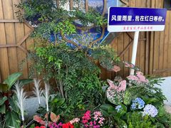 -红日饭店(裕隆三路店)