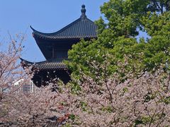 -堤角公园