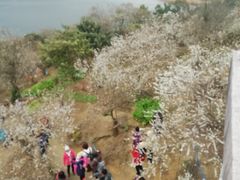 -广州市流溪河国家森林公园