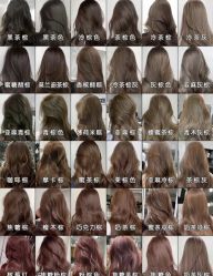 -GANO HAIR 