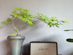 -一叶觅山(半边街店)