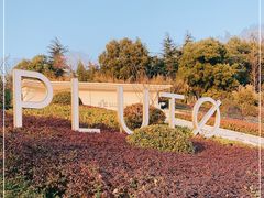 -UNIUNI(凯瑟琳广场店)