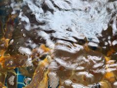 -77号渔船·蒸海鲜青岛菜(积米崖店)