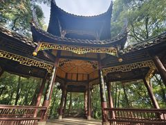 -峨眉山报国寺