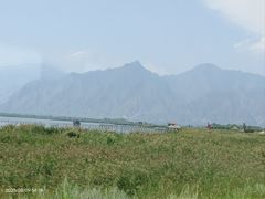 -哈素海