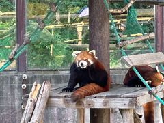 -沈阳森林动物园