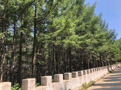 -苏木山森林公园