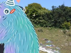 -大姆山草场