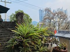 -树厨贵州菜(铜仁花果山店)