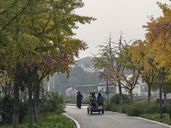 -石家庄市植物园