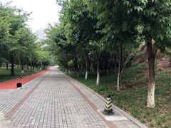 -龙头寺公园
