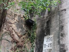 -铁路文化公园