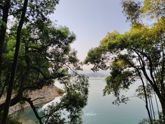 -广州市流溪河国家森林公园