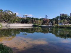 -四海公园(南山区)