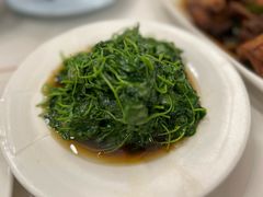 -海金滋(陕西南路店)