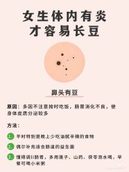 -玛莲朵·海菲秀冰珀科