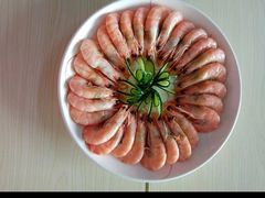 -大班家政月嫂育儿嫂(深圳NO.1店)
