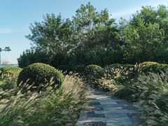 -东疆建设开发纪念公园