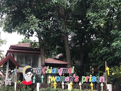 -清迈女子监狱马杀鸡(无分店)