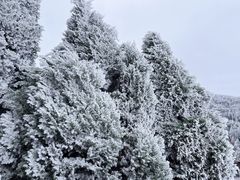 -永州阳明山国家森林公园