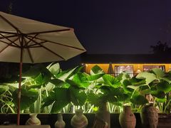 -悦哉·派对·草坪婚礼·围炉煮茶(三圣乡店)