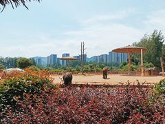 -杭州野生动物世界
