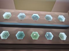 -中国茶叶博物馆(双峰馆区)