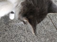 -裕华世纪公园