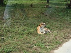 -西安秦岭野生动物园