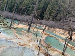 -黄龙山原始森林景区