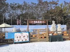 -盈香心动乐园