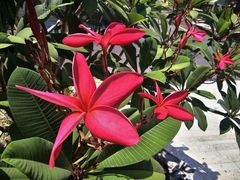 -演武大桥观景平台