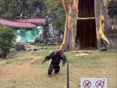 -祥源·阜阳生态乐园