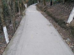 -青龙山公园