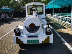 -上海海湾国家森林公园