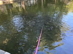 -酷鱼垂钓CLUB(朝阳区博大路店 )