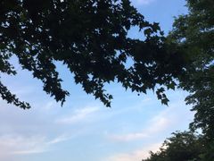 -玉山公园