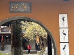 -灵谷景区