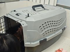 -纳吉亚猫专科动物诊疗中心(蒋宅口分院)