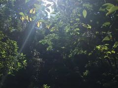 -火炉山森林公园