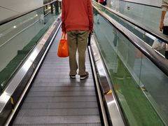 -科巷菜场