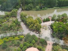 -自然谷恐龙园