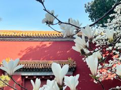 -北京市劳动人民文化宫(太庙)