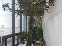 -哈尔滨圣安口腔专科医院