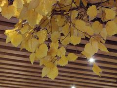 -金筷子西北菜·捞悦火锅