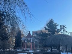 -长春市十一高中