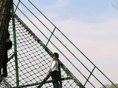 -东方巨龟苑景区